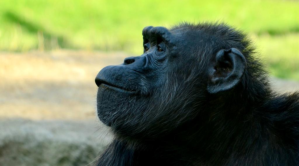 Abstract digital technology background with connected nodes