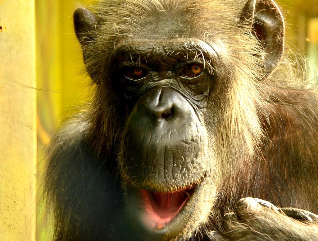 High-tech futuristic digital innovation network image