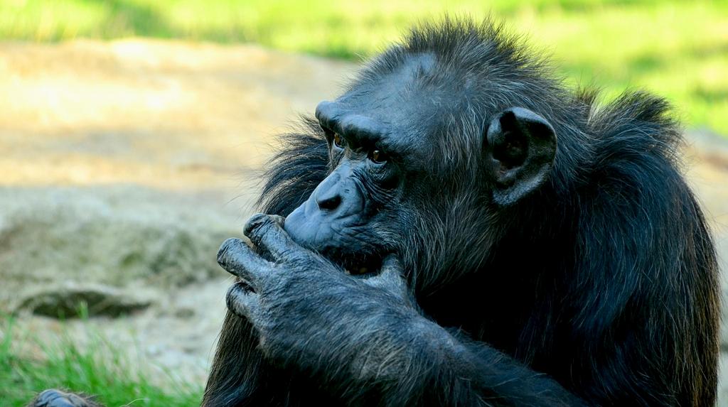 Collage of major computer technology milestones from past to present