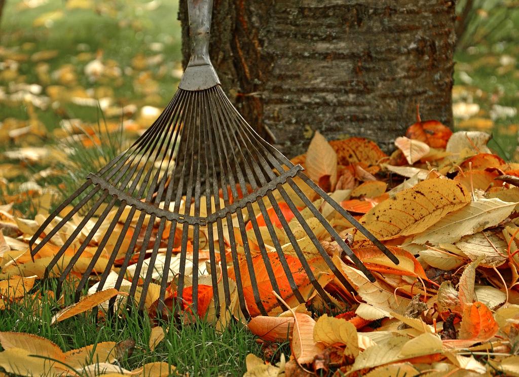 Futuristic holographic interface displaying quantum computing dashboard and user authentication