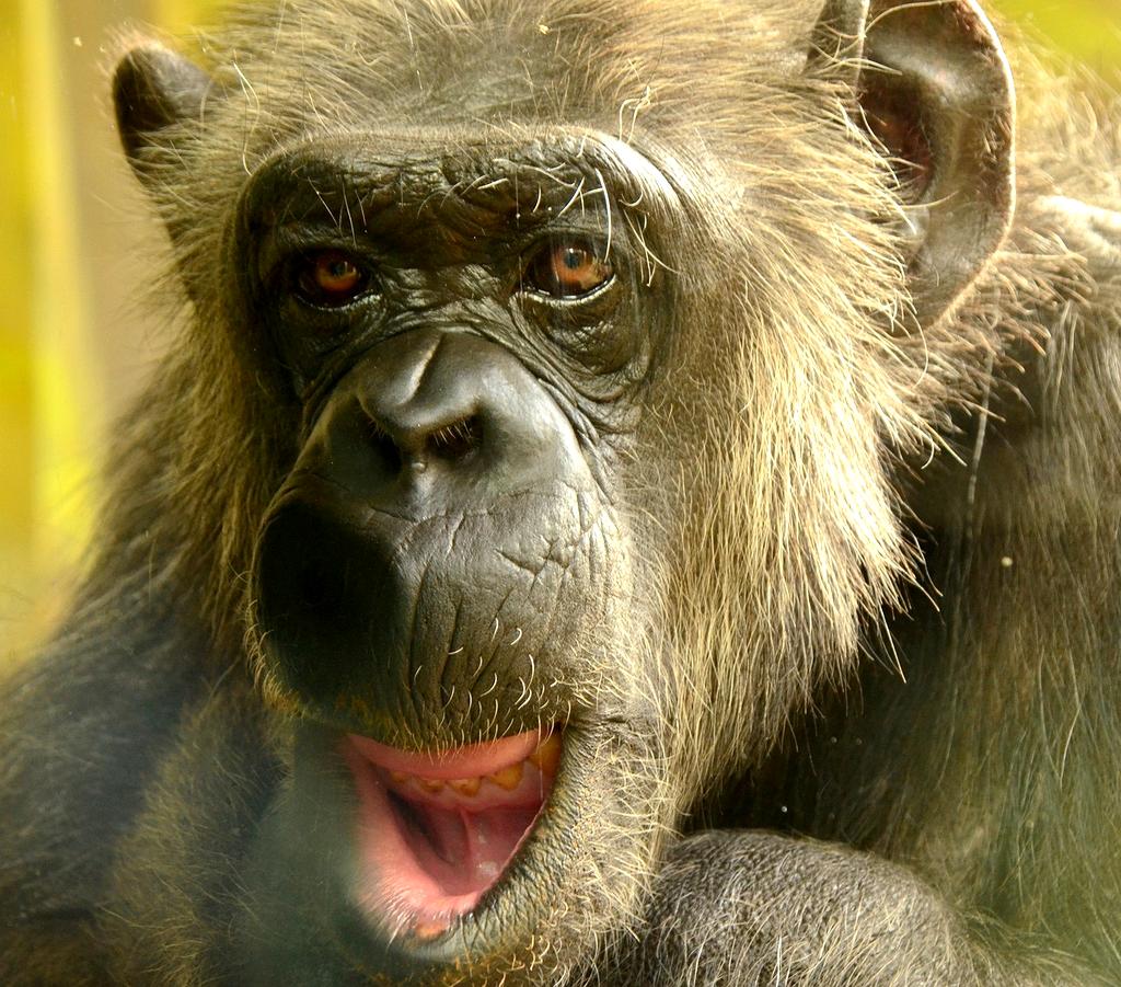 Portrait of Michael Lee, Technology Strategist